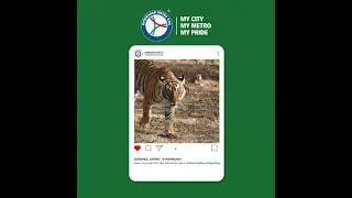 Save Our Tigers | Hyderabad Metro