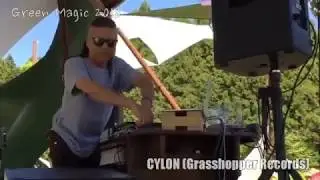 CYLON Live at Green Magic 2018 in Japan