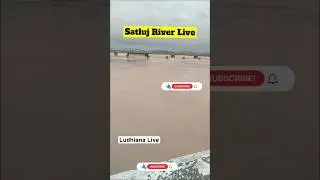 Satluj River Today | Satluj Dariya #satlujnews #satluj #trending #punjab