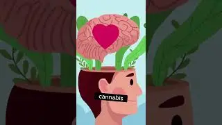 High-Dose LSD Beats Microdosing