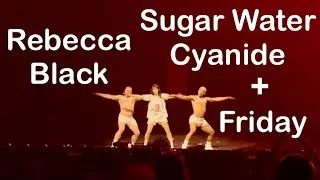 Sugar Water Cyanide | Friday (remix) | Rebecca Black | Opening for Katy Perry | KC, MO | May 10 2025