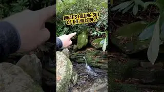 Can It Really Be That Easy? #goldprospecting #preciousmetals #tools