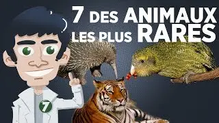 7 des animaux les plus rares