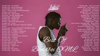 Best of Bhadboi OML Mix | Bhadboi OML Music Hits Playlist | Best song playlist Bhadboi OML | BHADBOI