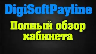 DigiSoft PayLine ОБЗОР КАБИНЕТА