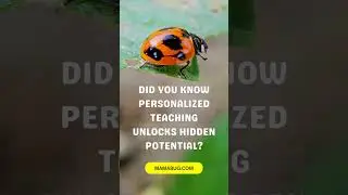 What If Your Child's Unique Learning Style Finally Made Sense?