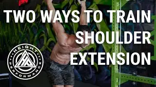 Shoulder Extension with Ring Dips and the German Hang - Mailing List
