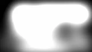 Blindheid met licht perceptie