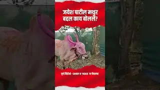 जयेश पाटील मथुर बद्दल काय बोलले #bailgadasharyat #bailgadasharyatlivetoday #5050 #mothasonya5050