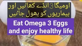 What are omega 3 eggs and their health benefits | Info Learning Plus