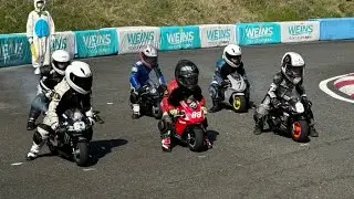 NAKAI MOTOCUP開幕戦 ポケバイチーム決勝⚔️ 2024.3.31 IN 中井 インター サーキット まきじょう みぶげんポケバイ
