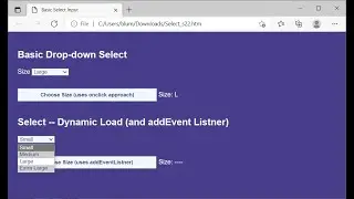 HTML CSS JavaScript Demo: Select Option