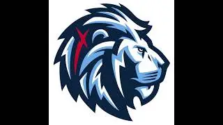 Destiny Lions Network