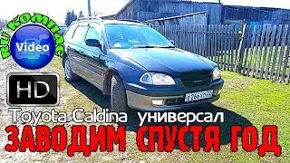 Toyota Caldina универсал , ЗАВОДИМ СПУСТЯ ГОД #toyota #rukompass #механик #турист