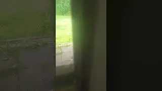 Dakke dak