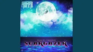 Scargazer