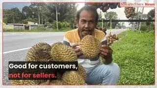 Durian glut proves thorny for sellers