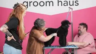 Dog Grooming Tip - Perfecting Your Finish w/ Colin Taylor & Irina Pinkusevich