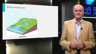 Deltas and estuaries 3.3