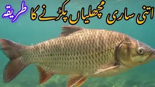 fish catching tips how to catch fish in Pakistan مچھلی پکڑنے کا طریقہ آئیے دیکھتے اس ویڈیو میں 