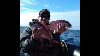 P&ecirc;che du pagre au Tenya Betagne sud