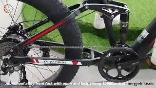E-BIKE RANDRIDE YX90