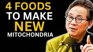 4 Foods to Make New Mitochondria (Scientific Proof) | Senior Health