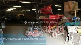 Informatica project: sorteren en verpakken van aardappelen