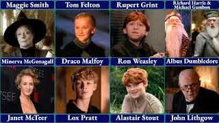 Harry Potter Characters Warner Bros. Vs HBO Reboot