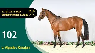 No. 102 Stallion by Vigado - Karajan | Verden Stallion Licensing 2025 - Jumping - Nov. 28/29