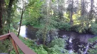 Paradise