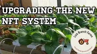 Hydroponic High Tunnel lettuce production - Upgrading the NFT system