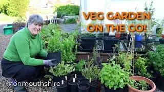 Moving the Vegetable Garden to a New Site