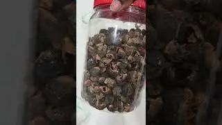 Small Shells, Big Magic - SOAP NUTS. How,  When, Where And Why Even Use Them ?