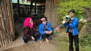 Orphan Boy - Go to the forest to cut banana tree trunks and sell them for food
