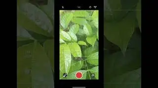 SEPERTI INI CARA REKAM VIDEO DAN PINDAH LENSA DI TECNO CAMON 40 4G #shorts #short