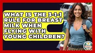 What Is The 3-1-1 Rule For Breast Milk When Flying With Young Children? - The Family Getaway Guide