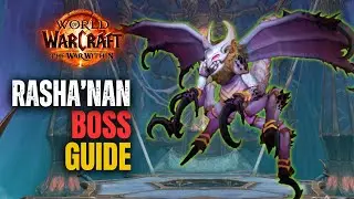 Rasha'nan Raid Boss Guide | Nerub-ar Palace Raid World of Warcraft The War Within