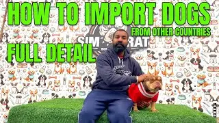 How to import dogs from other countries to India | illegal import
