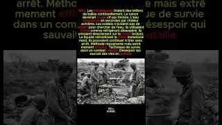 Les mitrailleuses surchauffaient tant que les soldats urinaient dessus pour les refroidir