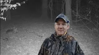 Do Whitetail deer sleep?