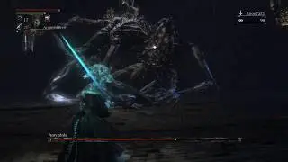 Best Way to COOP against Defiled Amygdala (99 Arcane with Holy Moonlight Sword)