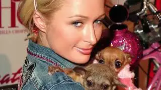 Treating My Dogs Like Babies For A Day Must See | Animal Care