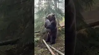 &ldquo;The Boar Slips Away&rdquo;