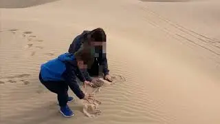 IMPERIAL SAND DUNES | NORTH ALGODONES DUNES WILDERNESS I SOUTHERN CALIFORNIA