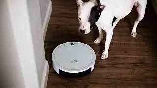 Meet our Robot Vacuum bObi
