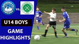 Sockers FC vs Palatine Celtic - NPL U14 2010 Game Highlights  [2023]
