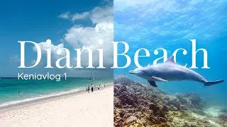 Mehr als nur Safari! Traumstrand & Delfine an Kenias K&uuml;ste | DIANI BEACH | Keniareise Pt. 1