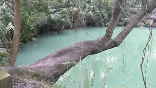 Green Spring Park, FL, USA