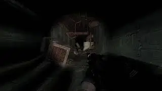 S.T.A.L.K.E.R. Anomaly EFP 2.5 + Dead Zone 4K | Max settings #42
